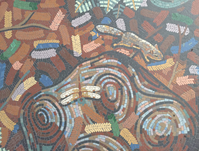 floor-mosaic-stanford-childrens
